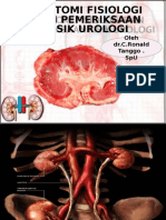 Anatomi Fisiologi Dan Pemeriksaan Fisik Urologi