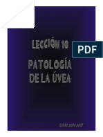 10_la_uvea.pdf