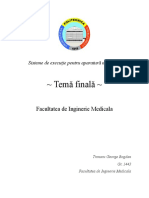 Seam Final Tronaru