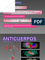 Anticuerpo Monoclonal