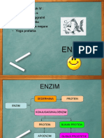 Enzim 1