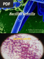 Download Bacillus Subtilis PDF by netparse SN31345785 doc pdf