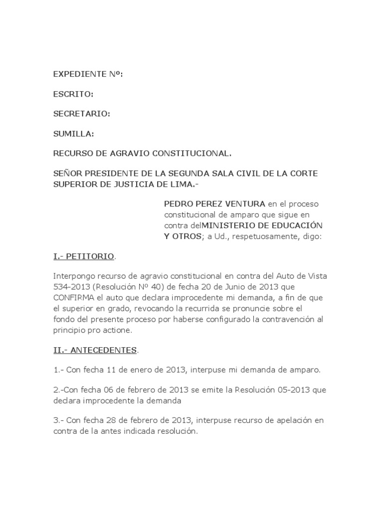 Modelo de Recurso de Agravio Constitucional | PDF | Ley procesal | Salario
