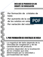 Tema_3_Congelacion_Parte_3.ppt