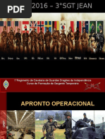 Apronto Operacional IIB - UD VIII ASS IV