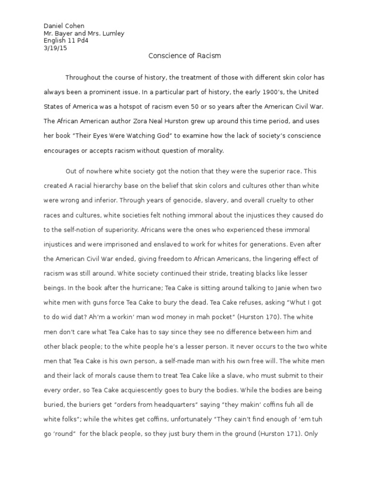 Racism essay 3 07 picture