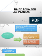 PERDIDA DE AGUA POR LAS PLANTAS.pptx