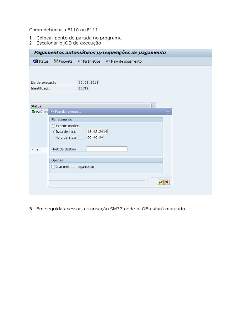 Debugando F110 e F111 no SAP | PDF | Carreira e Crescimento | Computadores