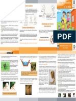 FOLLETO_DENGUE.pdf
