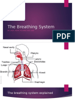 Lungs Biology