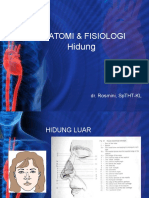 Anatomi & Fisiologi Nasal