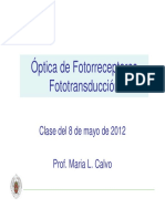 Óptica de Fotorreceptores