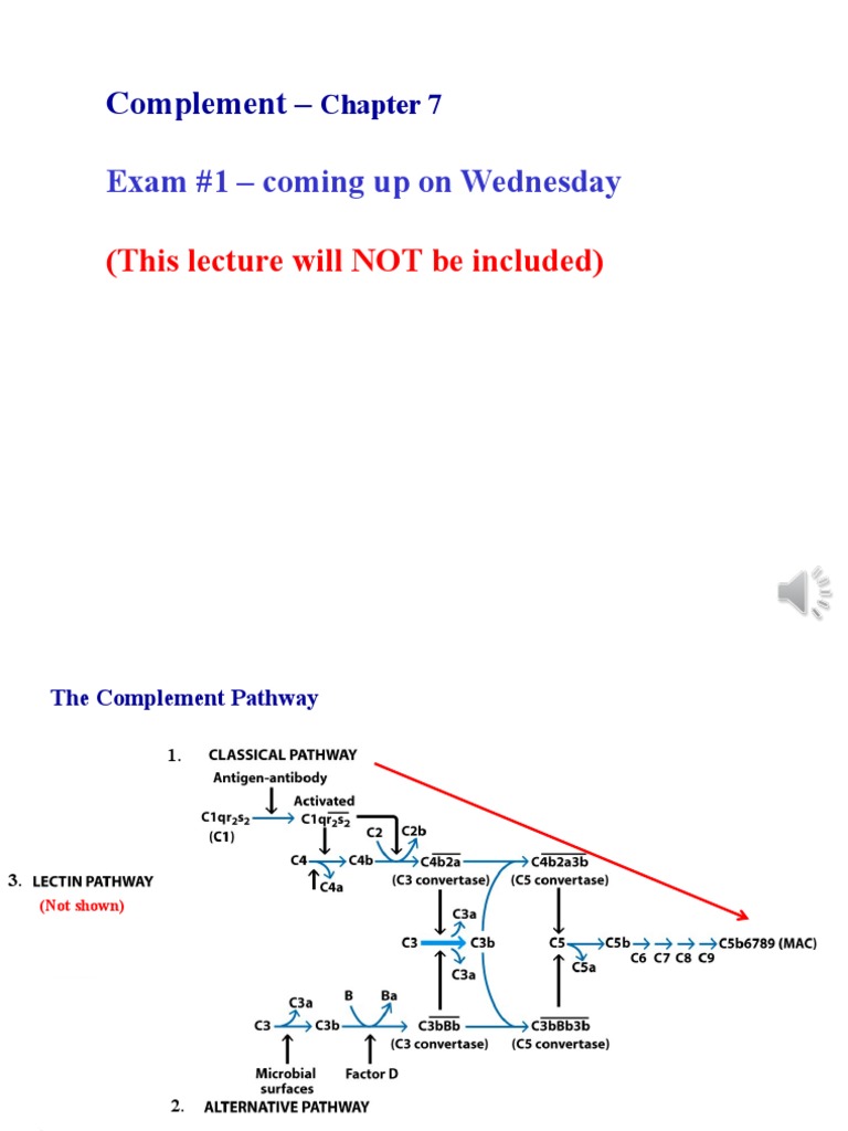 Understanding the Complement Pathway | PDF