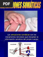sensibilidadessomaticas-1220048176938244-8