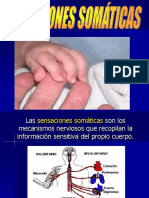 Sensibilidadessomaticas 1220048176938244 8