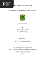 Download Laporan Kasus Kehamilan Multifetus - Triplet HQ by Febrima Rahayu SN313518543 doc pdf
