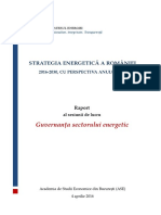 Raport Sesiune Lucru - Guvernanta Sectorului Energetic - Final