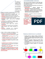 Etapele Procesului de Inovare A Produsului