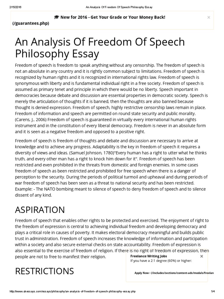 freedom of speech essay example