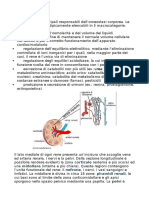 Anatomia e Fisiologia Del Rene Prof - Papetti