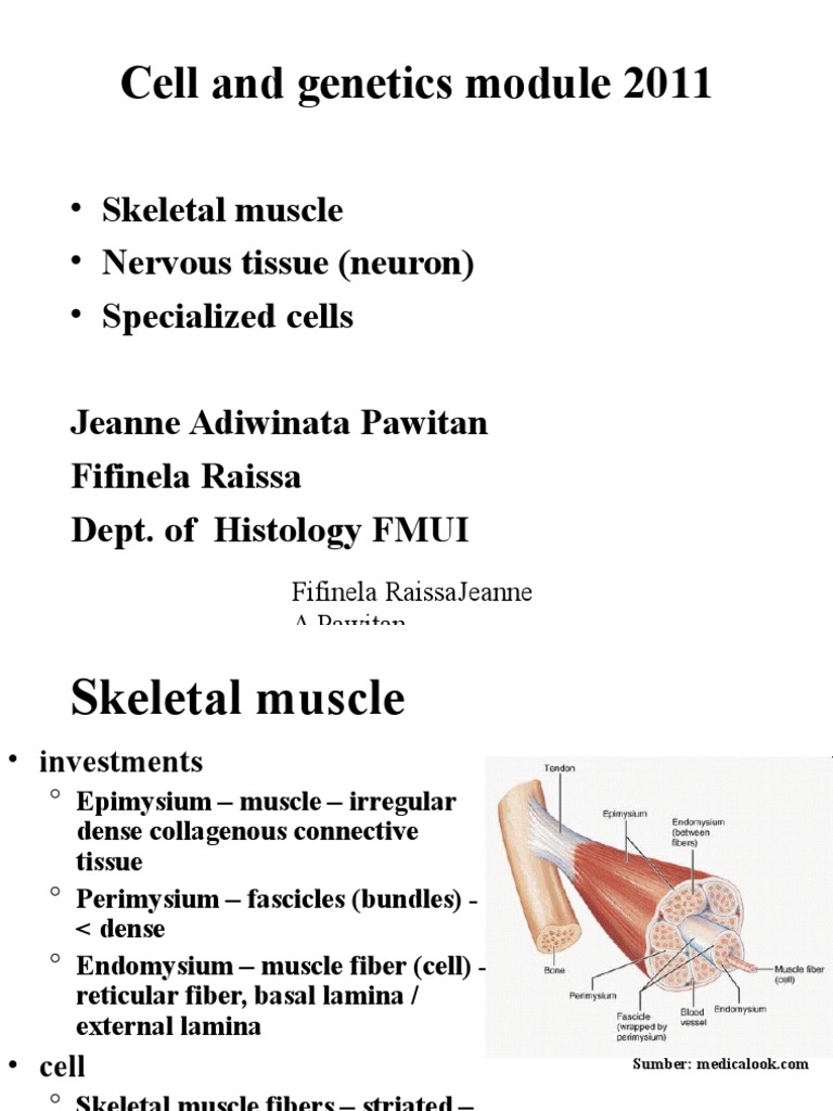 Cell N Genetics 2010 Inter 2 Ref UNIB | PDF | Myocyte | Skeletal Muscle