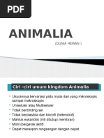 3-animali