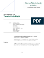 Tomato Early Blight: CMG Gardennotes #718