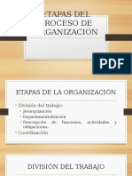 Etapas Del Proceso de Organizacion