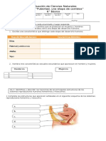 Prueba de Ciencias Naturales 6°  1.docx