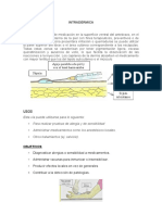 INTRADÉRMICA