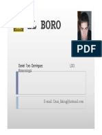 Boro2 PDF