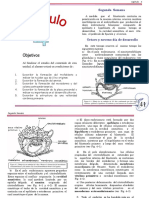 capitulo4.pdf