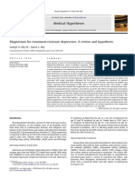 magnesium-treatment-resistant-depression.pdf