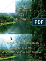 Sabedoria dos Animais.pps