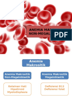 IDK CASE 2-Anemia Makrositik Non Megaoblastik