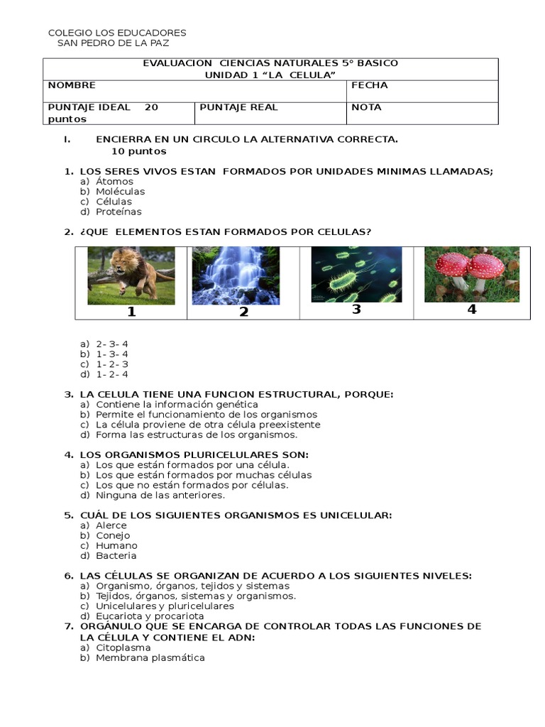 Evaluacion Ciencias Naturales 5