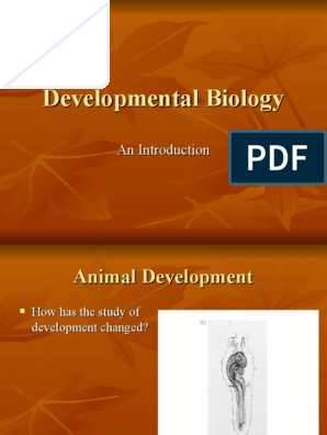 Developmental Biology | PDF
