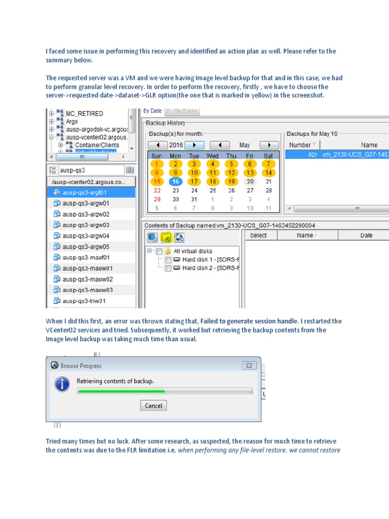 Granular Recovery Action Plan Summary | PDF