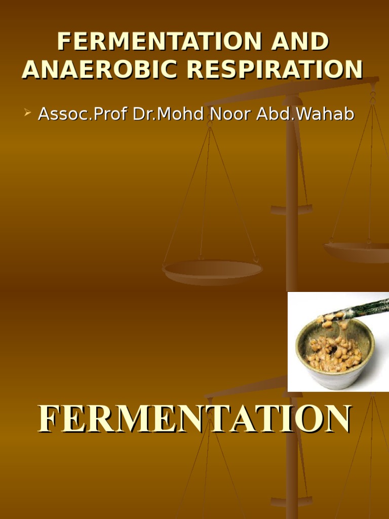Anaerobic Fermentation Processes | PDF | Fermentation | Cellular ...