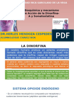 Bioquimica de La Dinorfina y Somatostatina Expo
