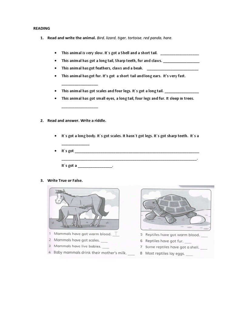 animal relationships worksheet 2 Tiger 3 Unit Exam animal relationships worksheet 2 Tiger 3 Unit Exam