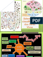 Classificação Biologica