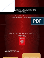 Protección Del Juicio de Amparo