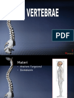 Vertebrae