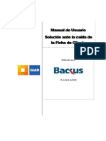 Manual Solución Ante La Caida de La Ficha Cliente (ORACLE)