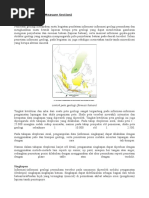 Download Pemetaan Geologi Measure Section by Ichal Aprilio Kidw SN313683917 doc pdf