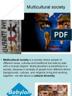 1.Multicultural Society