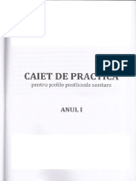 Caiet de practica anul I.pdf