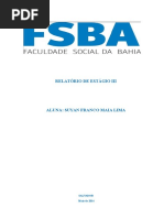 Suyan_relatório de Estágio II