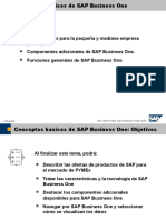 Conceptos Básicos de SAP